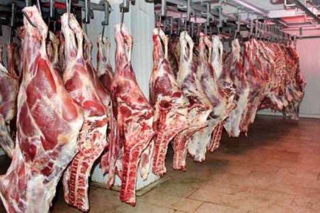 1،5 تن گوشت گرم قاچاق در دهلران کشف شد